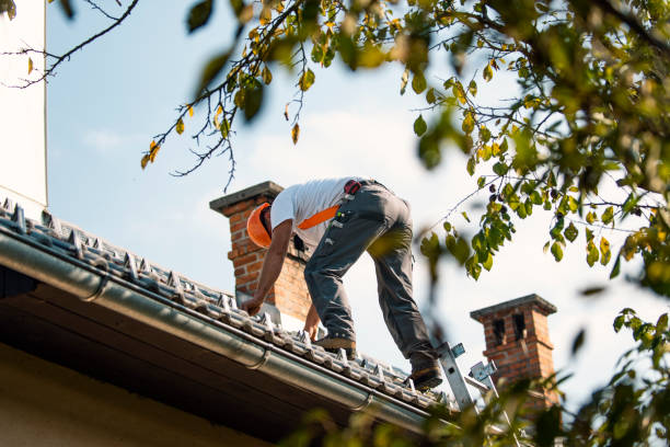 Best Roof Maintenance Services  in Pontiac, MI