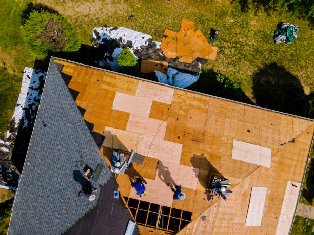 Best Roof Gutter Cleaning  in Pontiac, MI